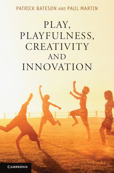 bokomslag Play, Playfulness, Creativity and Innovation