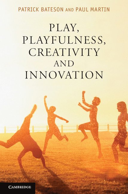 Play, Playfulness, Creativity and Innovation 1