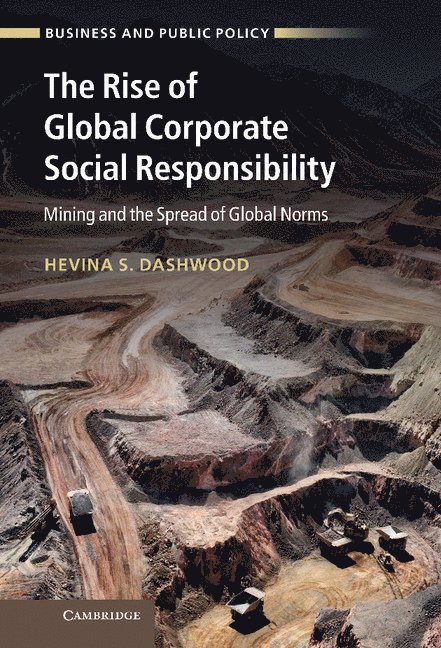 The Rise of Global Corporate Social Responsibility 1