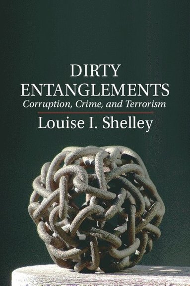 bokomslag Dirty Entanglements