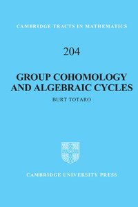 bokomslag Group Cohomology and Algebraic Cycles