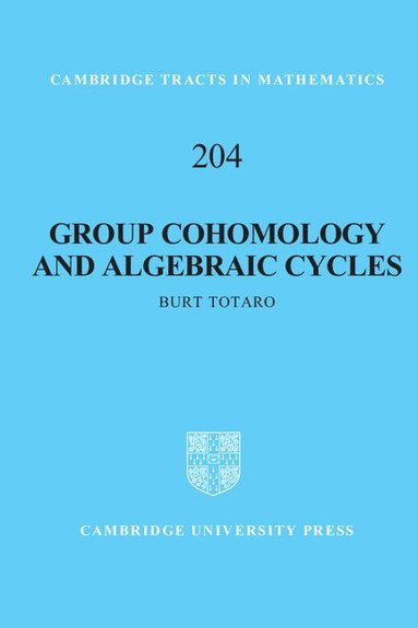 bokomslag Group Cohomology and Algebraic Cycles