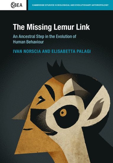 bokomslag Missing Lemur Link
