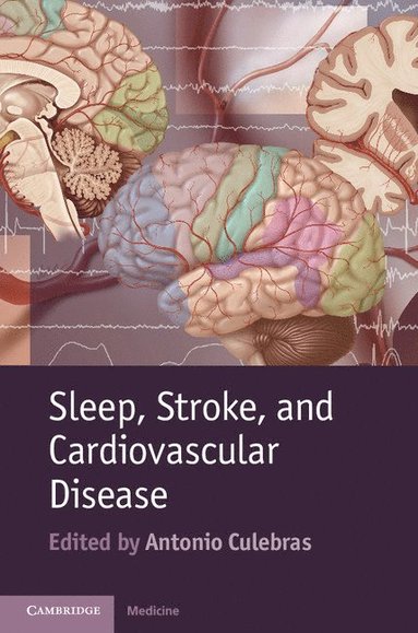 bokomslag Sleep, Stroke and Cardiovascular Disease