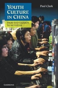 bokomslag Youth Culture in China