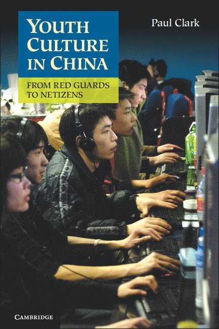 Youth Culture in China