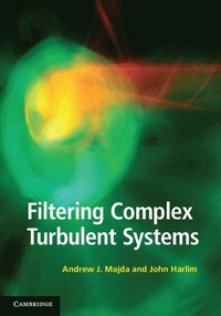 bokomslag Filtering Complex Turbulent Systems