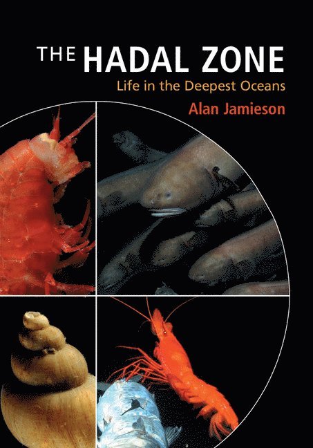 Alan (University of Aberdeen) Jamieson, Alan Jamieson - The Hadal Zone, Inbunden