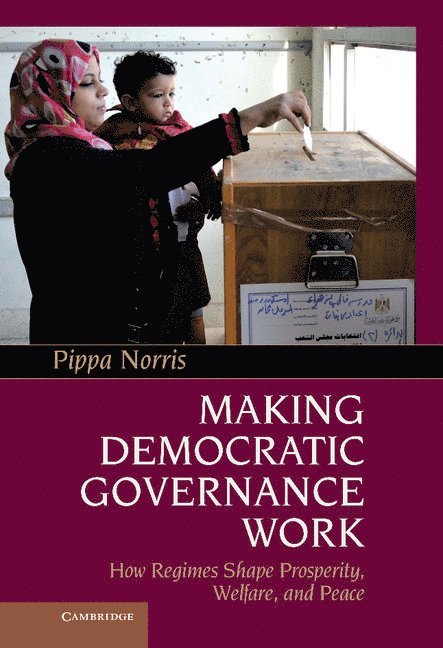 Making Democratic Governance Work 1