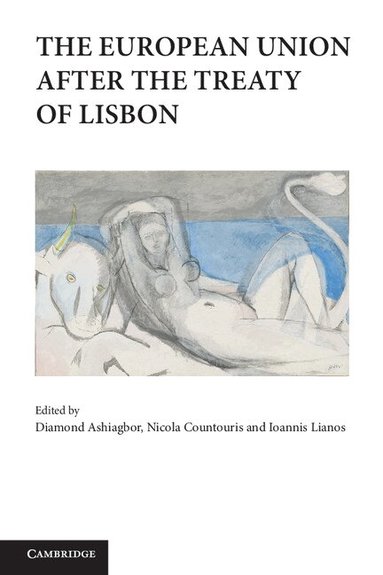 Diamond Ashiagbor, Nicola Countouris, Ioannis Lianos - The European Union after the Treaty of Lisbon, Inbunden