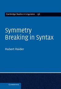 bokomslag Symmetry Breaking in Syntax