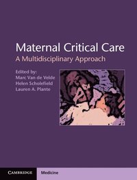 bokomslag Maternal Critical Care