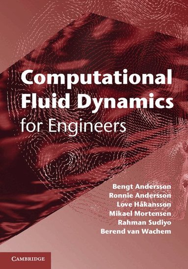 Bengt Andersson, Ronnie Andersson, Love Håkansson, Mikael Mortensen, Rahman Sudiyo, Berend van Wachem - Computational Fluid Dynamics for Engineers, Inbunden