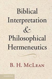 bokomslag Biblical Interpretation and Philosophical Hermeneutics