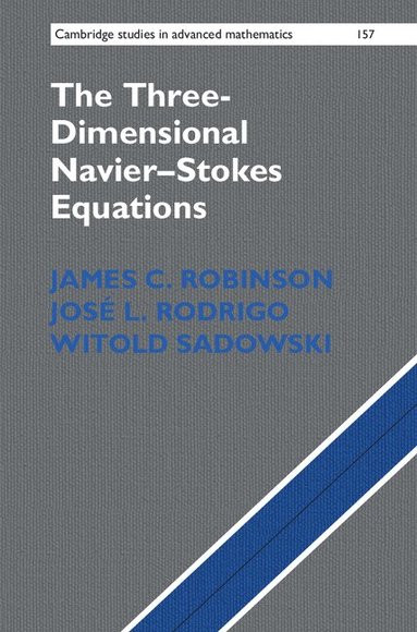 James C. Robinson, José L. Rodrigo, Witold Sadowski - The Three-Dimensional Navier-Stokes Equations, Inbunden