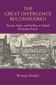 bokomslag Great Divergence Reconsidered