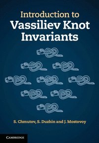 bokomslag Introduction to Vassiliev Knot Invariants