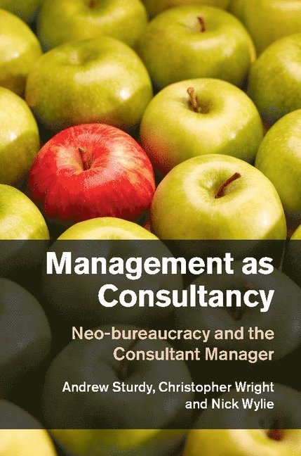 Management as Consultancy 1
