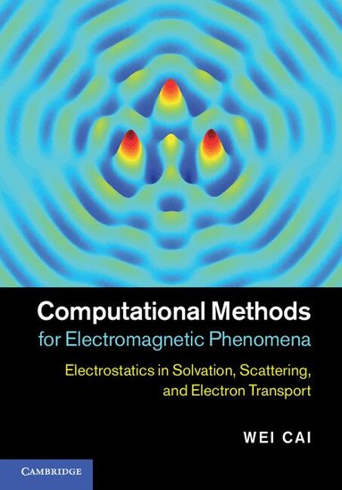 Wei Cai - Computational Methods for Electromagnetic Phenomena, Inbunden