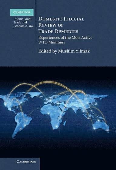bokomslag Domestic Judicial Review of Trade Remedies