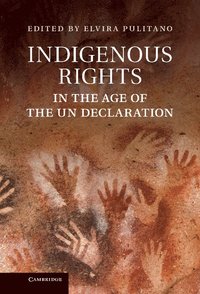 bokomslag Indigenous Rights in the Age of the UN Declaration