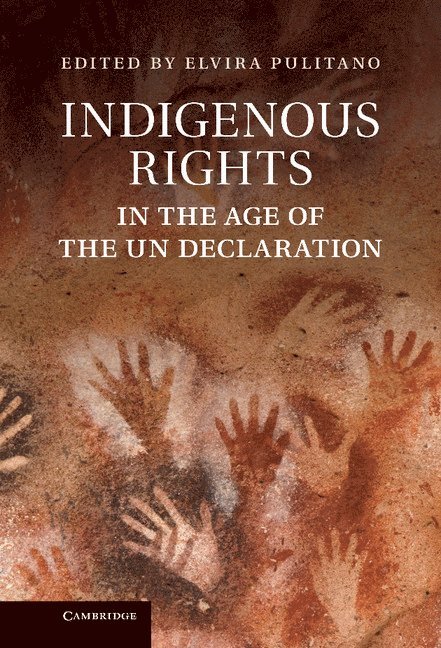 Indigenous Rights in the Age of the UN Declaration 1