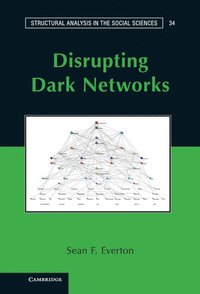 bokomslag Disrupting Dark Networks