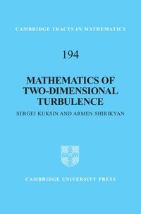 bokomslag Mathematics of Two-Dimensional Turbulence