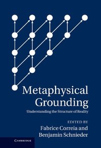 bokomslag Metaphysical Grounding
