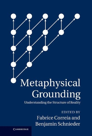 bokomslag Metaphysical Grounding: Understanding the Structure of Reality