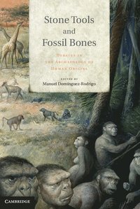 bokomslag Stone Tools and Fossil Bones