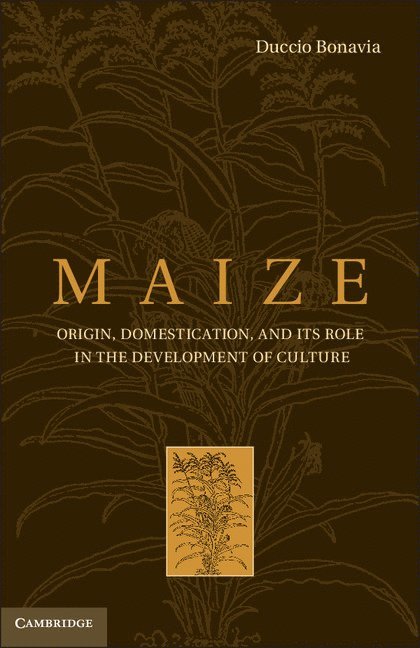 Maize 1