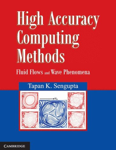 bokomslag High Accuracy Computing Methods