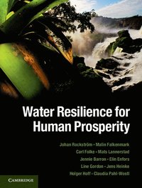 bokomslag Water Resilience for Human Prosperity
