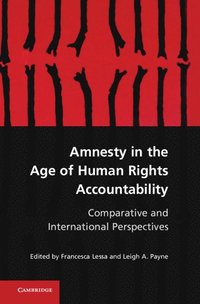 bokomslag Amnesty in the Age of Human Rights Accountability