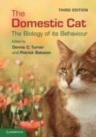 bokomslag The Domestic Cat