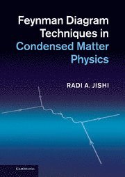 bokomslag Feynman Diagram Techniques in Condensed Matter Physics