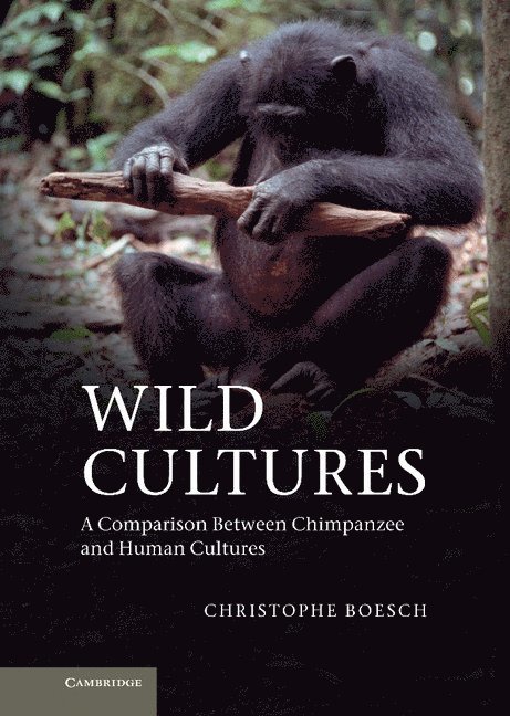 Wild Cultures 1