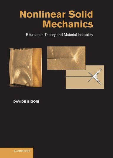 Davide Bigoni - Nonlinear Solid Mechanics, Inbunden