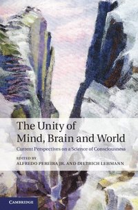 bokomslag The Unity of Mind, Brain and World