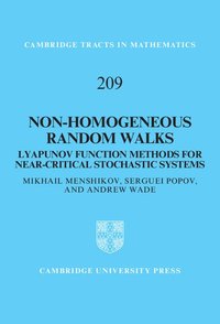 bokomslag Non-homogeneous Random Walks