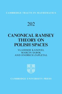 bokomslag Canonical Ramsey Theory on Polish Spaces