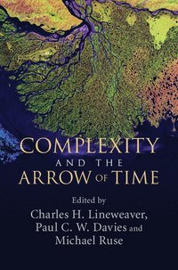 bokomslag Complexity and the Arrow of Time
