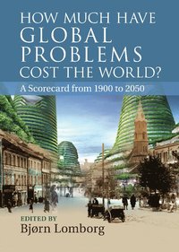 bokomslag How Much Have Global Problems Cost the World?
