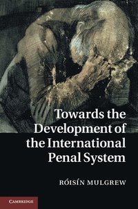 bokomslag Towards the Development of the International Penal System