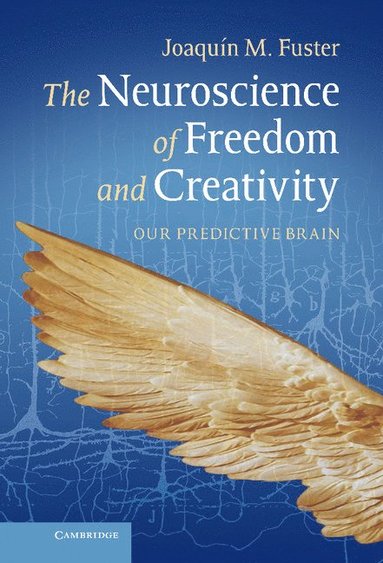 bokomslag The Neuroscience of Freedom and Creativity