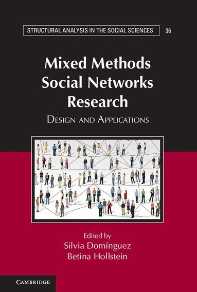 Silvia Domínguez, Betina Hollstein - Mixed Methods Social Networks Research, Inbunden