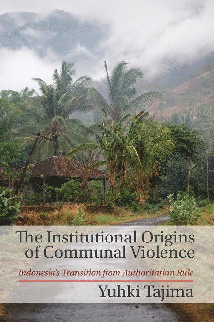 The Institutional Origins of Communal Violence 1