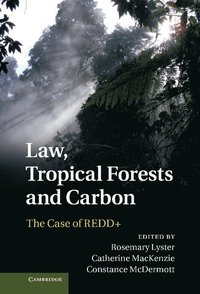 bokomslag Law, Tropical Forests and Carbon