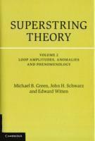 bokomslag Superstring Theory